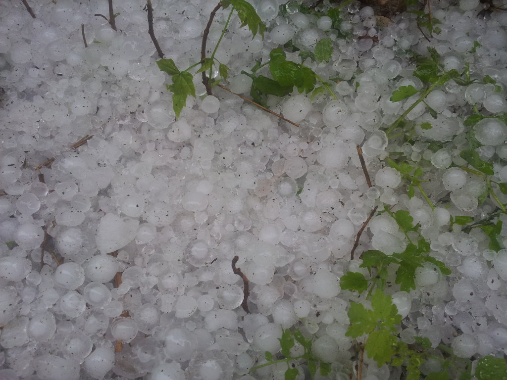 wsparcie za straty związane z pogodą, arimr, susza, grad, deszcz nawalny