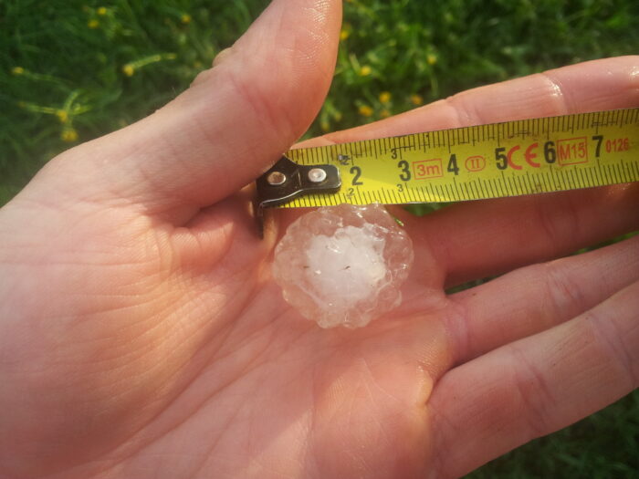 Grupa Wyszehradzka, zmiany klimatu, zjawiska klimatyczne, ryzyko w rolnictwie, ryszard zarudzki