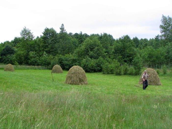 Instytut Medycyny Wsi w Lublinie, borelioza, kleszcze, badania rolników, podlasie, lubelszczyzna