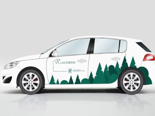 lasy państwowe,  projekt Las energii, ochrona środowiska, auta elektryczne, elektromobilność