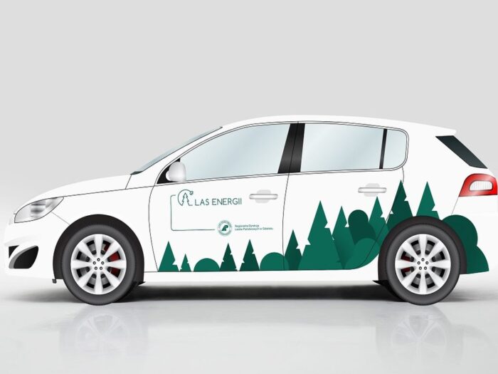 lasy państwowe,  projekt Las energii, ochrona środowiska, auta elektryczne, elektromobilność