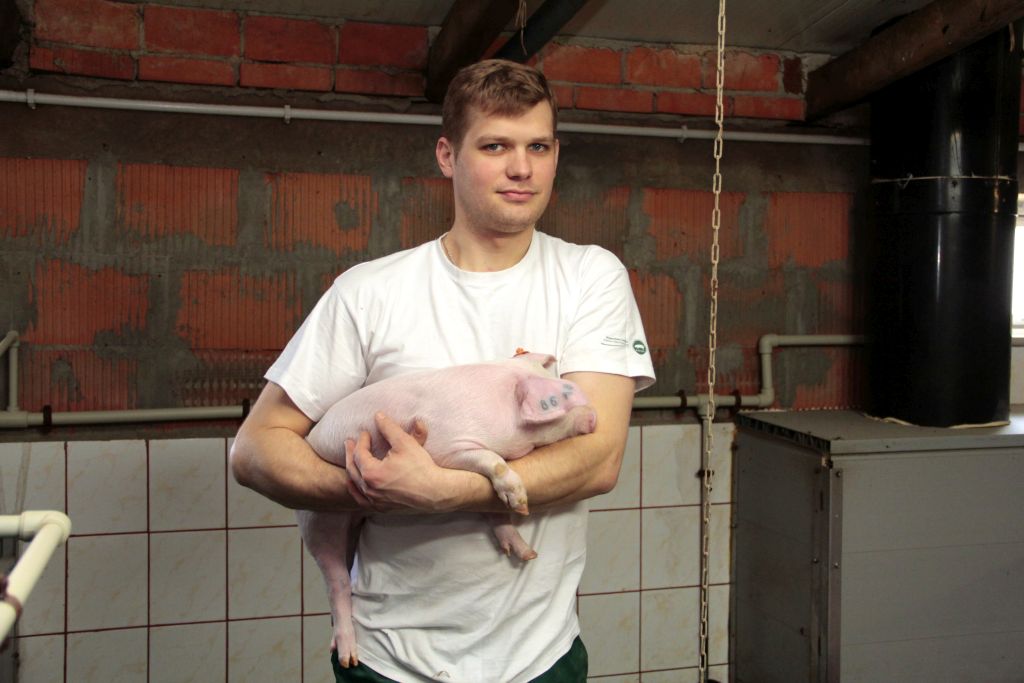 loszki hodowlane, tuczniki, hodowla, Bartosz Czarniak