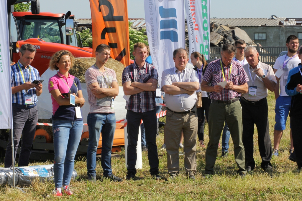 Narodowy Dzień Mlecznej Fermy, bydło mleczne, produkcja mleka, krowy mleczne