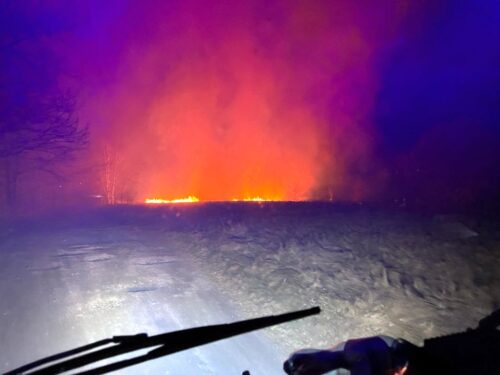 kp psp zgorzelec, pożar, nieużytki rolne, trawy