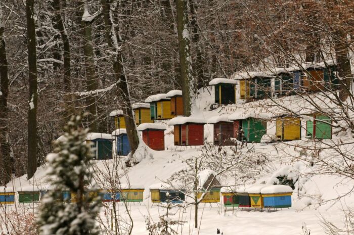 przezimowanie rodzin pszczelich, wsparcie dla rolnictwa, ARiMR, pszczelarstwo,pomoc de minimis