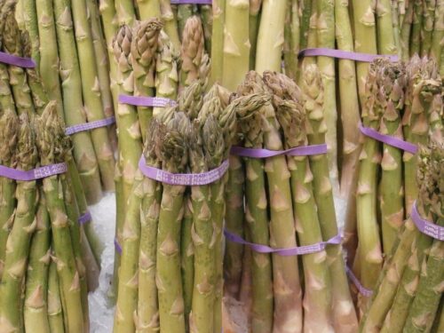 szparagi, sezon na szparagi, zbiory szparagów, Tomasz Smoleński, IERiGŻ