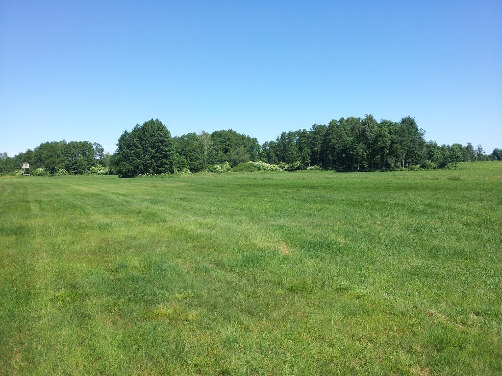 łąka, powiat makowski