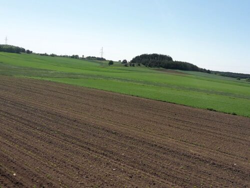 nieruchomości rolne, kupno ziemi przez obcokrajowców, mswia, Paweł Majewski, Europejski Obszar Gospodarczy