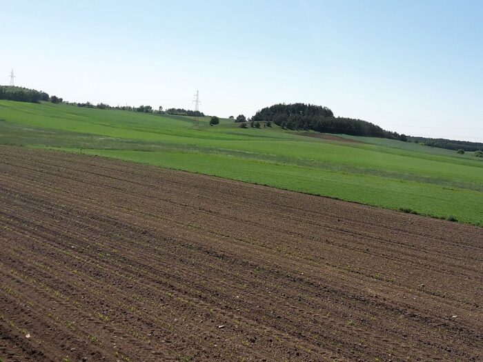 nieruchomości rolne, kupno ziemi przez obcokrajowców, mswia, Paweł Majewski, Europejski Obszar Gospodarczy