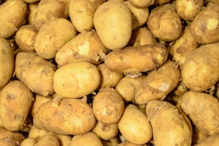 ziemniak, ceny ziemniaków, zbiory ziemniaków, IUEiGŻ, rynek hurtowy w broniszach