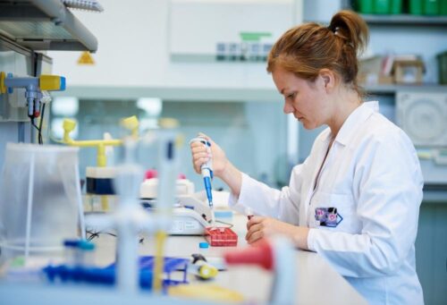 agrobiotechnologia, biznes, firma Bio-Gen