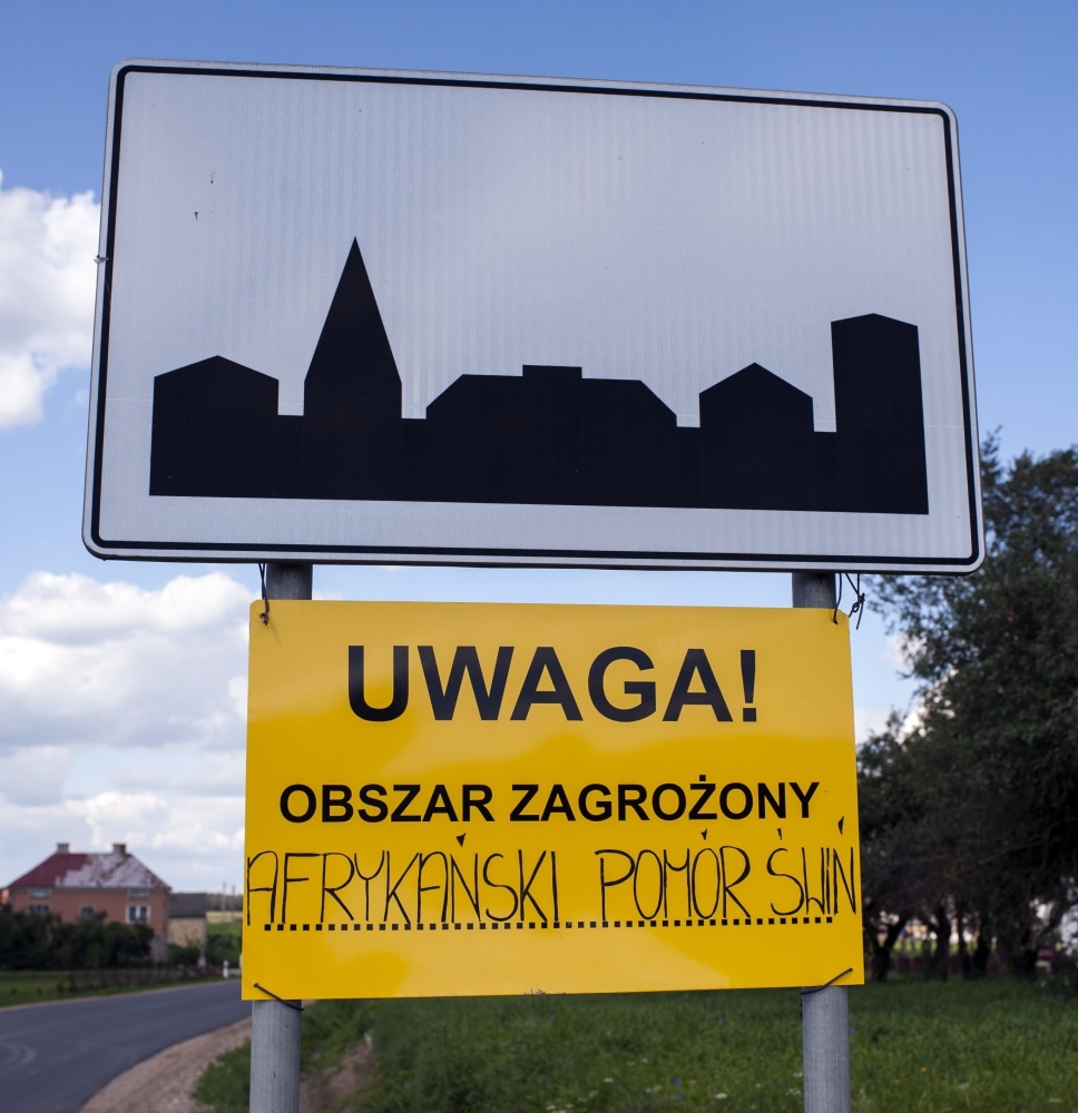 asf w polsce, walka z asf w polsce, Tomasz Podgórski, Instytut Biologii Ssaków PAN, dziki, populacja dzików