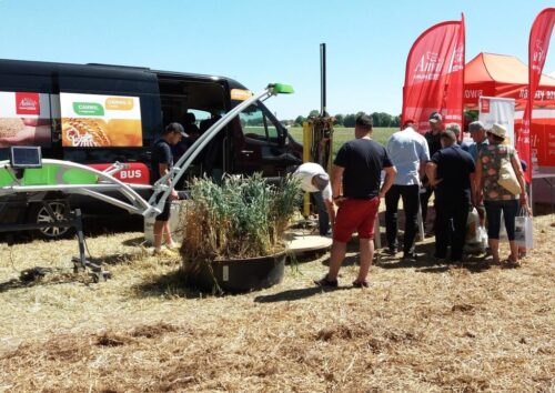 Anwil, canwilbus, gleba, nawożenie, azot, właściwa aplikacja nawozu