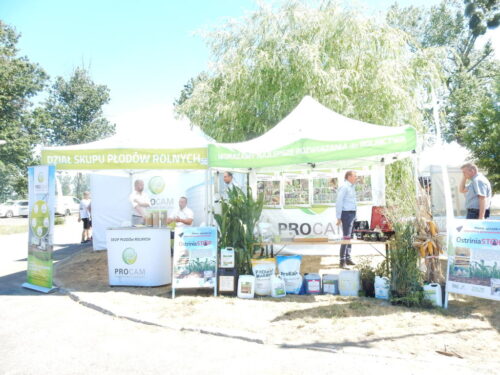 Dni Pola Procam, Karolewo