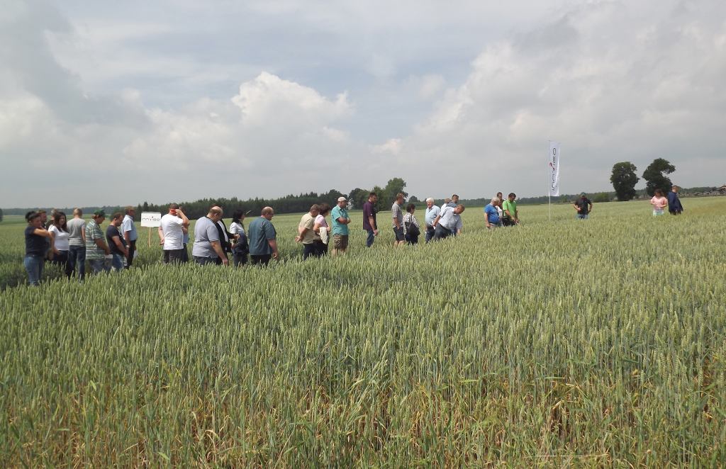 Innvigo, Dni Pola 2018 Innvigo, rolnictwo, Dni Pola, cykl spotkań polowych