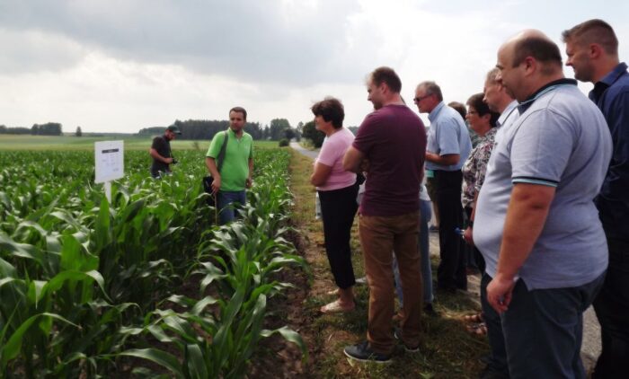 Innvigo, Dni Pola 2018 Innvigo, rolnictwo, Dni Pola, cykl spotkań polowych