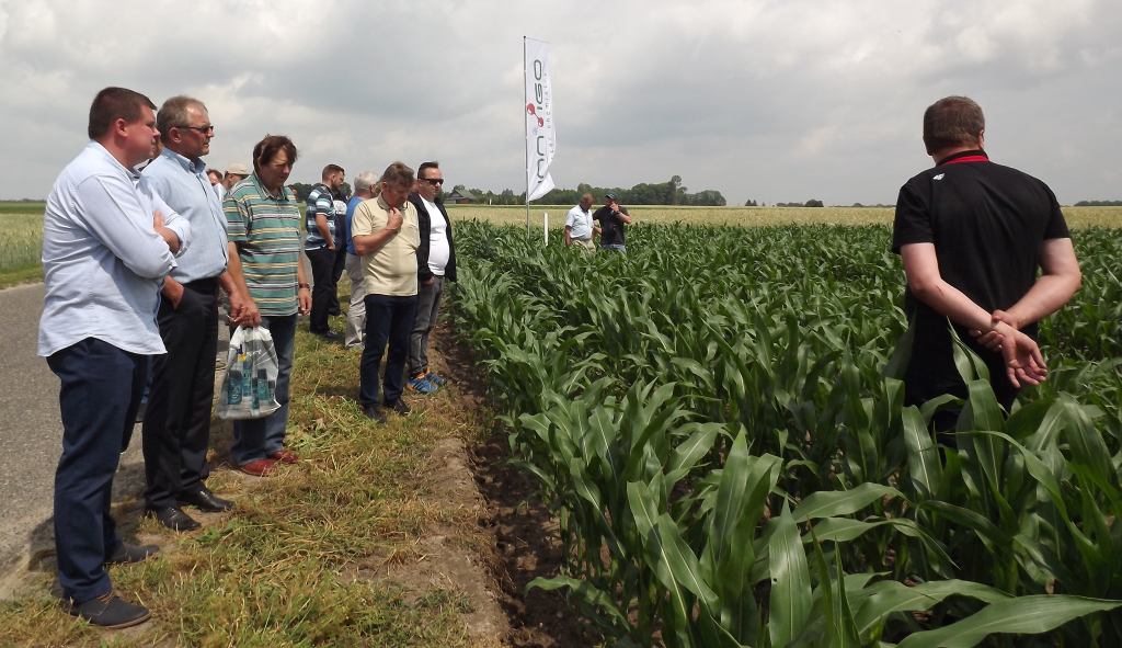 Innvigo, Dni Pola 2018 Innvigo, rolnictwo, Dni Pola, cykl spotkań polowych