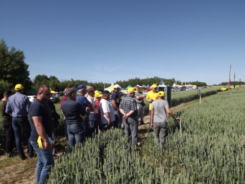 Plebania Wola, gmina Dębowa Kłoda, powiat parczewski, lubelszczyzna, spotkania polowe, Arkadiusz Drabko