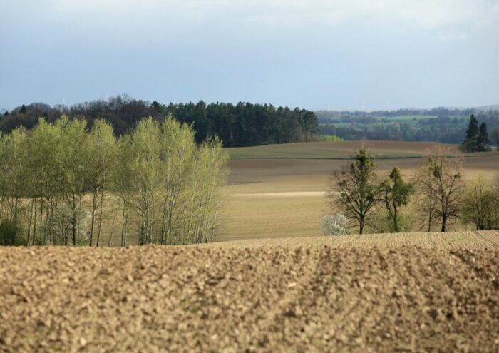 pola uprawne, grunty rolne