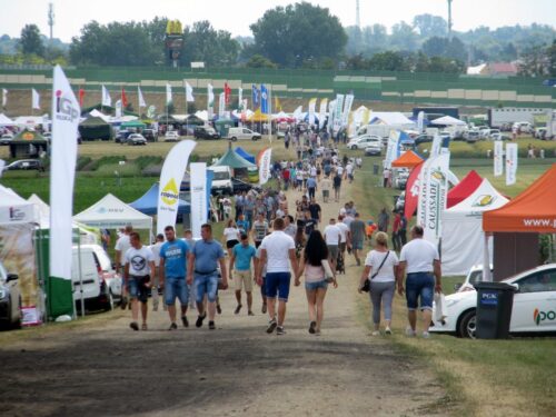 Mazowieckie Dni Rolnictwa, Mazowiecki Ośrodek Doradztwa Rolniczego, Poświętne, Płońsk, mazowsze