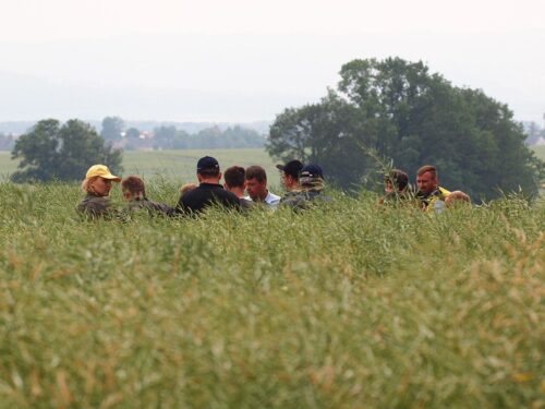 Osadkowski, Rudziczka, Zielone Pola 2018, Osadkowski SA, Żebyś wiedział, Przegląd odmian i technologii upraw