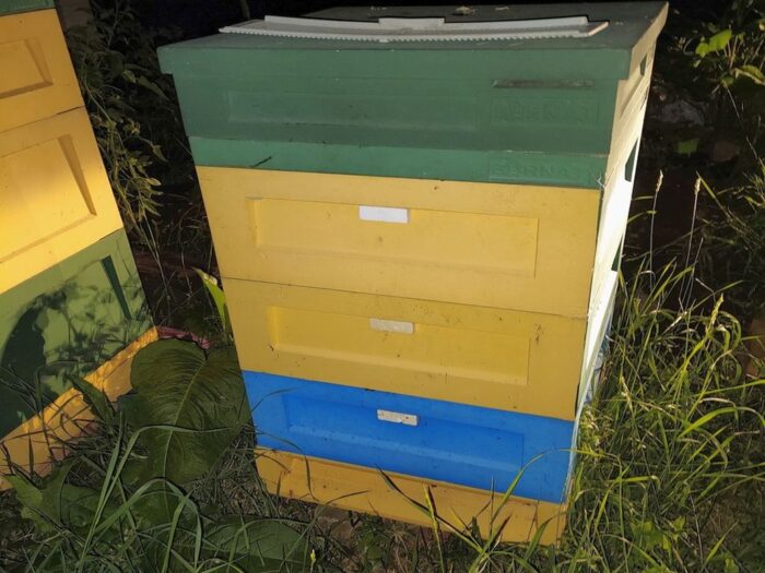 kradzieże uli z pasiek, pszczelarstwo, Paulina Matysiak, powiat zduńskowolski, powiat łaski