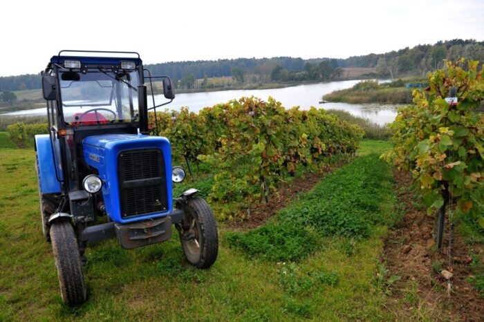 PSL, dopłaty bezpośrednie, wpr po 2020 roku, budżet ue, pomorze zachodnie, Arkadiusz Janowicz