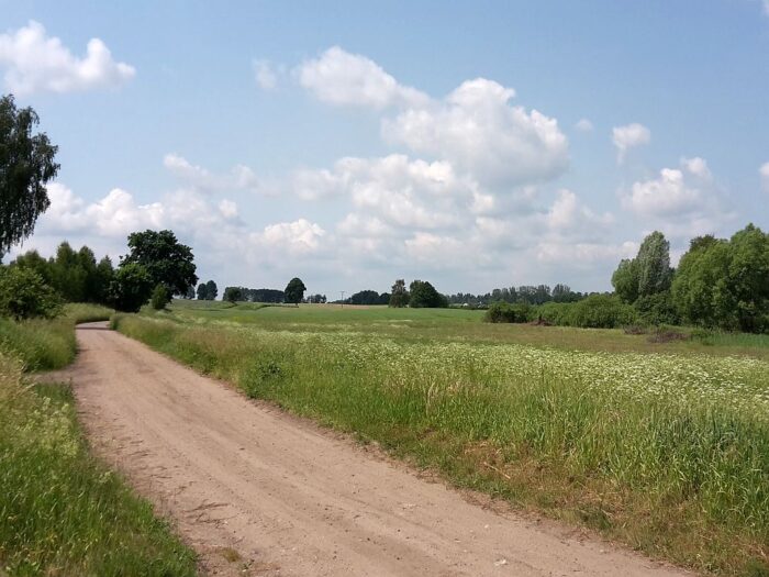 Zachwaszczenie gruntów, krir, sąd najwyższy, ministerstwo rolnictwa, utrata dopłat bezpośrednich