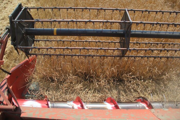 heder kombajnu Massey Ferguson 38