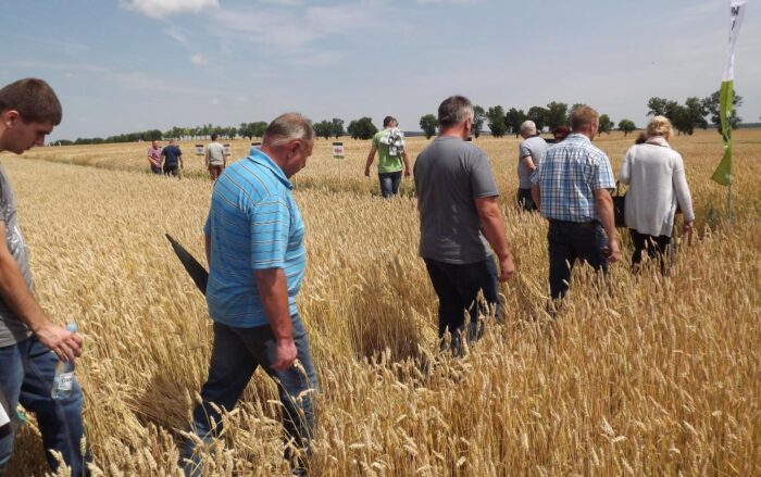 Dzień Pola Innvigo w Bezku, lubelskie,  SDOO w Bezku