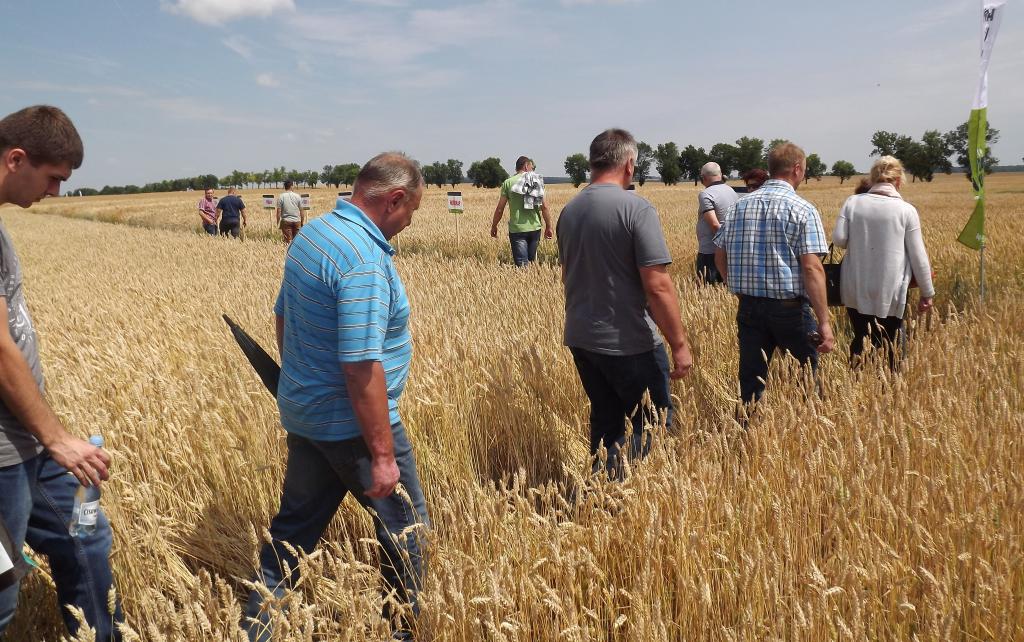 Dzień Pola Innvigo w Bezku, lubelskie,  SDOO w Bezku