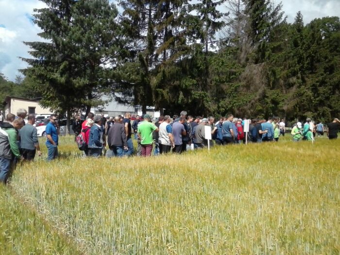 innvigo, radostowo, pomorze, ochrona rzepaku, ochrona zbóż