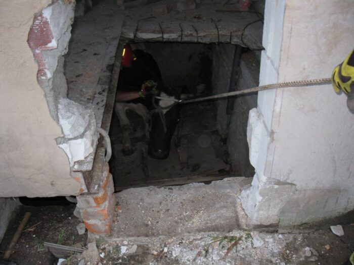 Krzywowierzba, gmina Wyryki, włodawa, lubelszczyzna, straż pożarna, krowa w piwnicy