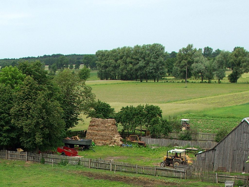 straty spowodowane przez klęski, susza rolnicza, sejmowa komisja rolnictwa, umorzenie składek do KRUS, podatek rolny