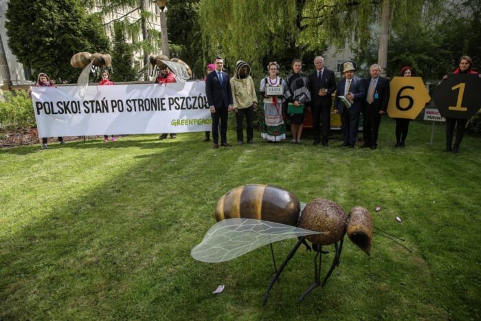 stosowanie neonikotynoidów, neonikotynoidy, zaprawianie nasion rzepaku, jan krzysztof ardanowski, greenpeace