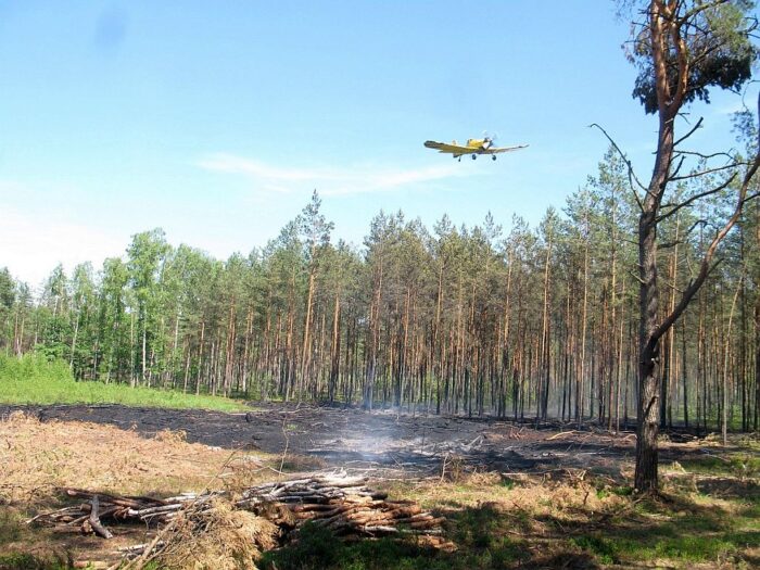 pożar, podpalenie, strażak podpalał lasy, OSP, policja, przestępstwo