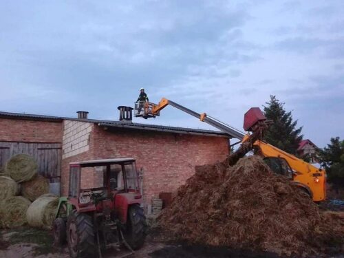 pożar, trzoda chlewna, bydło, byki, śmierć zwierząt, pożar w gospodarstwie