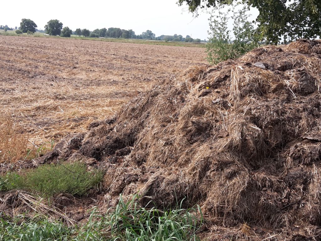 mrirw, ministerstwo rolnictwa, prow, harmonogram