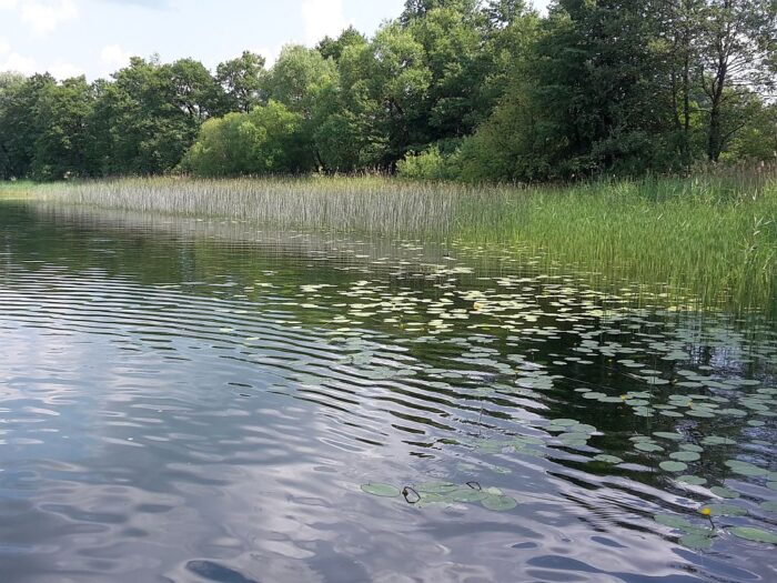 susza rolnicza, rybactwo, produkcja ryb, Stanisław Jamróz, Polskie Towarzystwa Rybackie, Sławomir Litwin