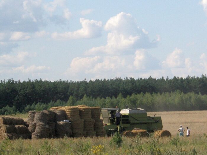 szacowanie strat w uprawach, straty w uprawach, ardanowski, sejmowa komisja rolnictwa, susza rolnicza