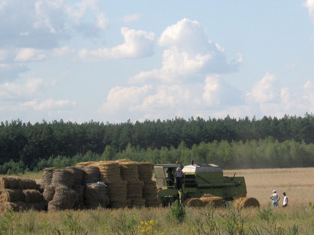 szacowanie strat w uprawach, straty w uprawach, ardanowski, sejmowa komisja rolnictwa, susza rolnicza
