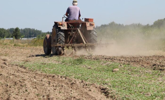 dopłaty, pieniądze, WPR, Wspólna Polityka Rolna, agronizes, rolnictwo