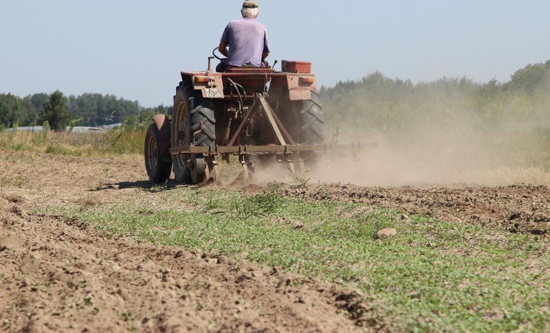 dopłaty, pieniądze, WPR, Wspólna Polityka Rolna, agronizes, rolnictwo