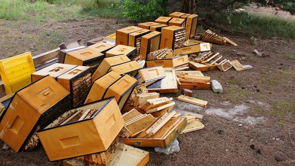 nowa wieś, gmina harasiuki, podkarpacie, zniszczone ule, pszczelarstwo, zniszczona pasieka