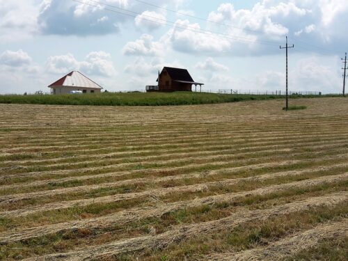 skargi na rolników, napływowi mieszkańcy wsi, konflikty na wsi, obszary wiejskie, krir