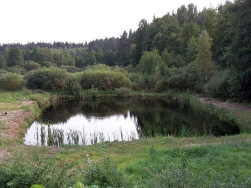 Gospodarowanie wodą w polsce, Adam Ulbrych, cieki wodne, oczka wodne, jan krzysztof ardanowski