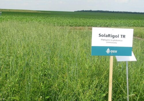 zazielenianie, WPR, pieniądze, rolnictwo, ekoprogramy, UE