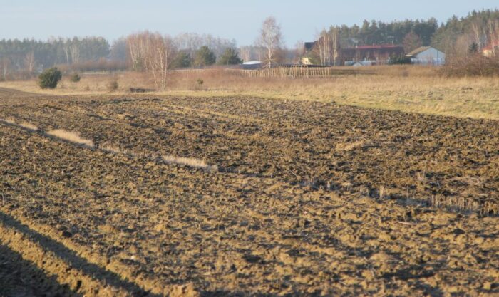rolnictwo zrównoważone, BGŻ BNP Paribas, zrównoważone rolnictwo, Bank BGŻ BNP Paribas