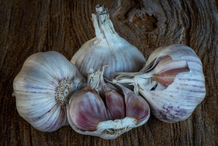 uprawa czosnku, gmina Rudnik, Paweł Surowiecki, Krzysztof Stecko