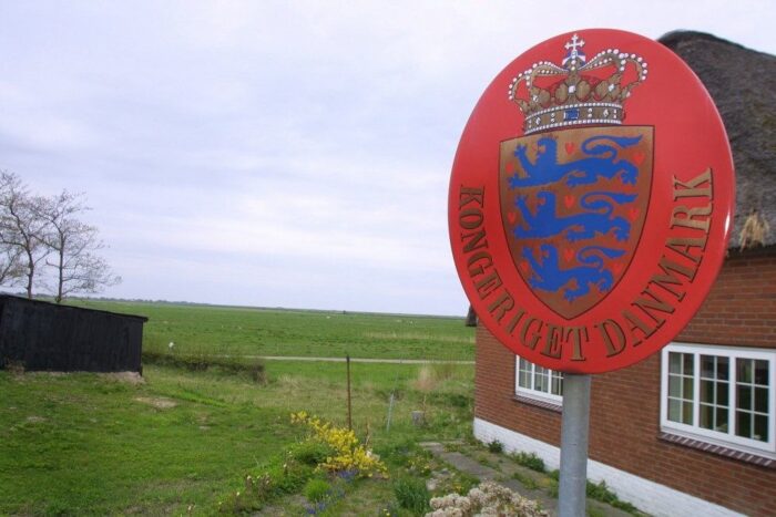 asf, afrykański pomór świń, dania, niemcy, ogrodzenie na granicy z niemcami